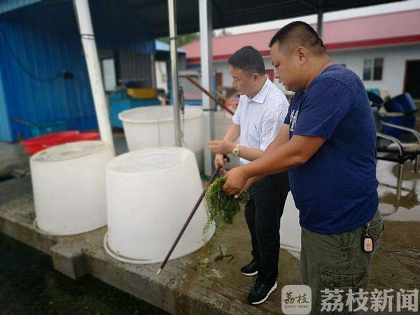 漁村小農(nóng)民的成長之路，從田野到未來的勵志之旅