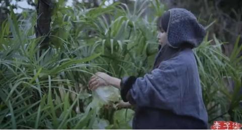 李子柒視頻最新,李子柒視頻最新回顧，東方美食文化的國際使者
