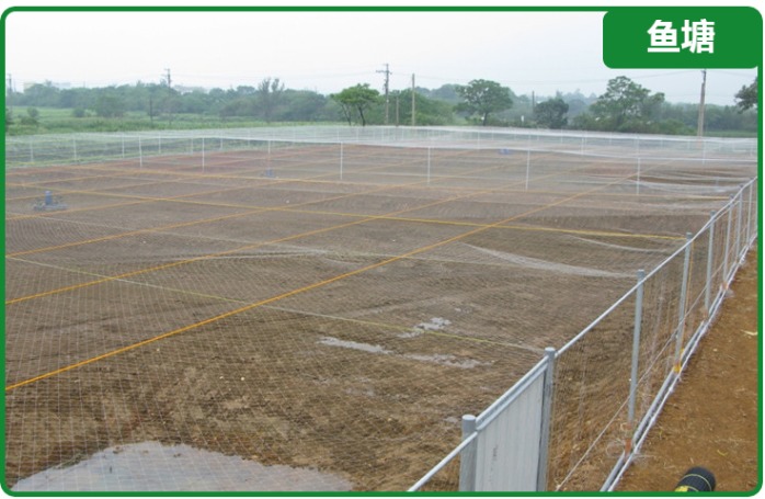 漁網(wǎng)廠最新招,漁網(wǎng)廠最新招，小巷中的隱秘寶藏