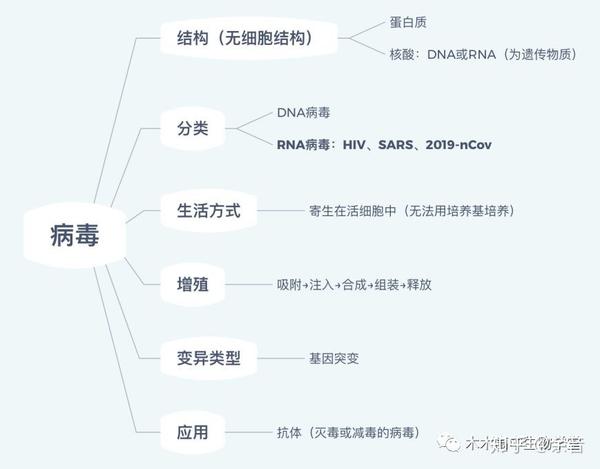 最新病毒總結(jié)報告，全面梳理與分析病毒動態(tài)