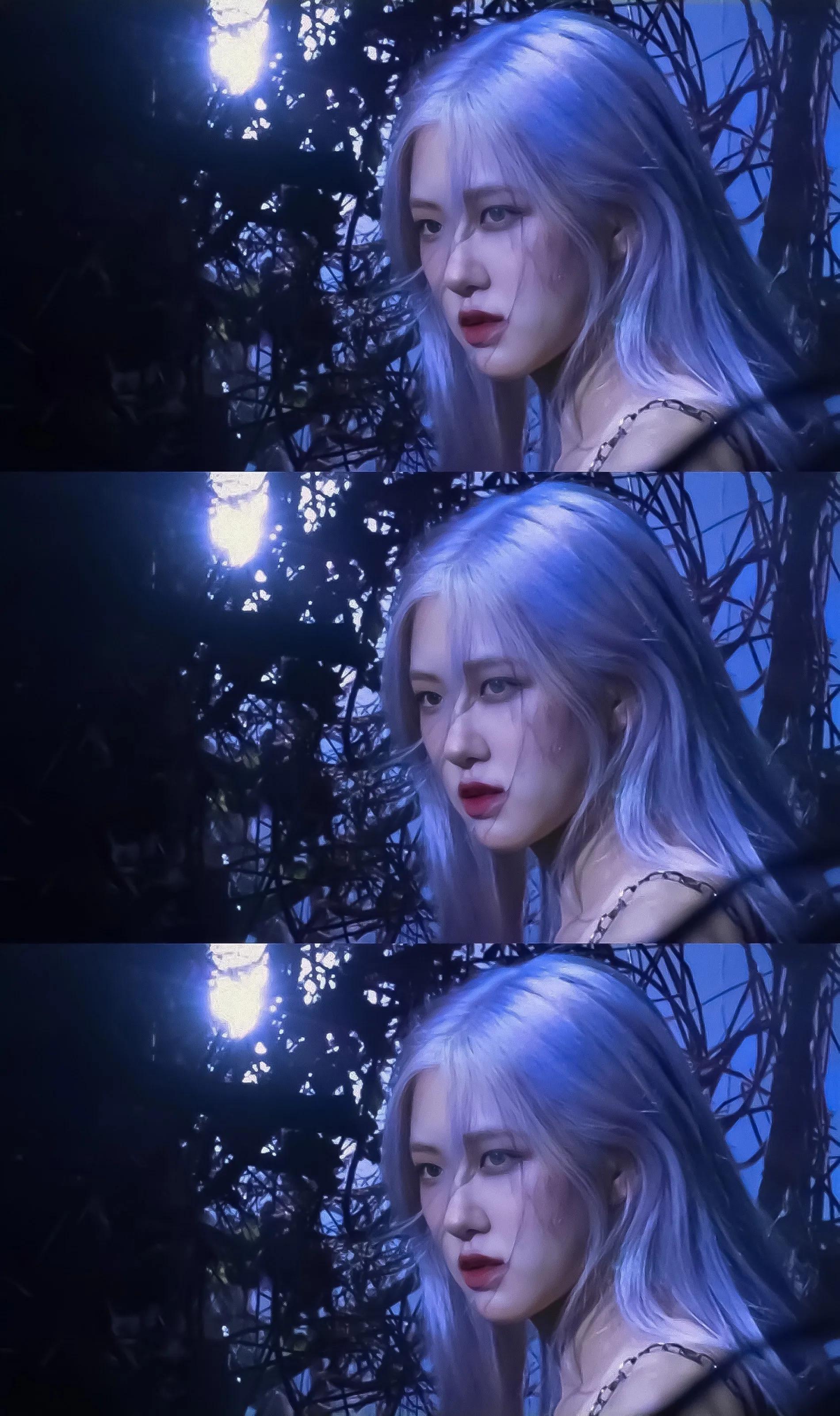 rose手機(jī)壁紙最新,小紅書分享最新Rose手機(jī)壁紙，浪漫至極！