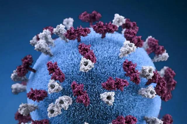 天津最新病毒動(dòng)態(tài)，小城抗疫故事中的溫馨力量