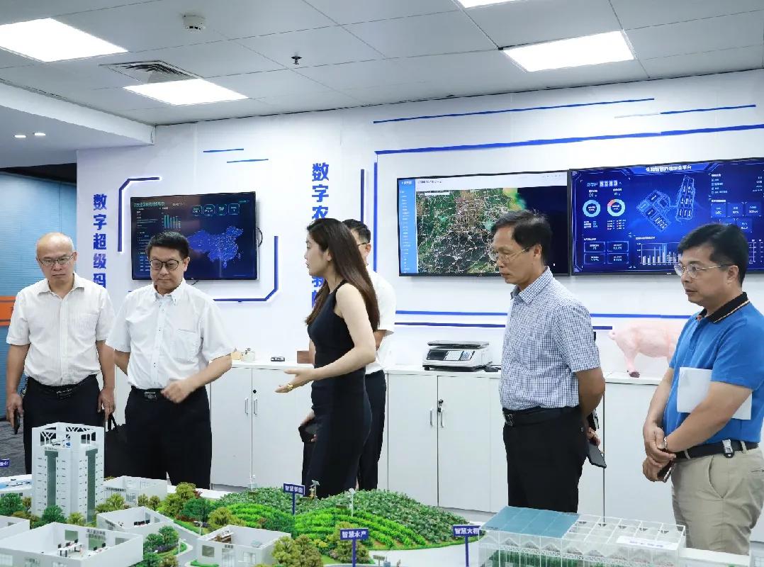 碼客寫作，鍵盤間綻放的自信與成就之光