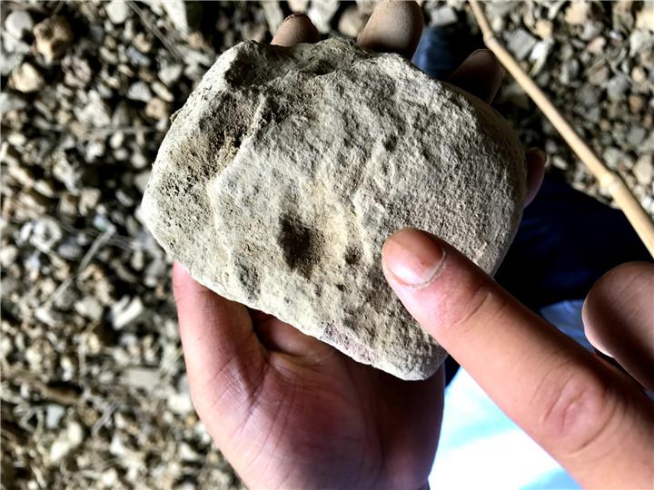 小吉場最新,小吉場最新，如何完成某項(xiàng)任務(wù)或?qū)W習(xí)某種技能的詳細(xì)步驟指南