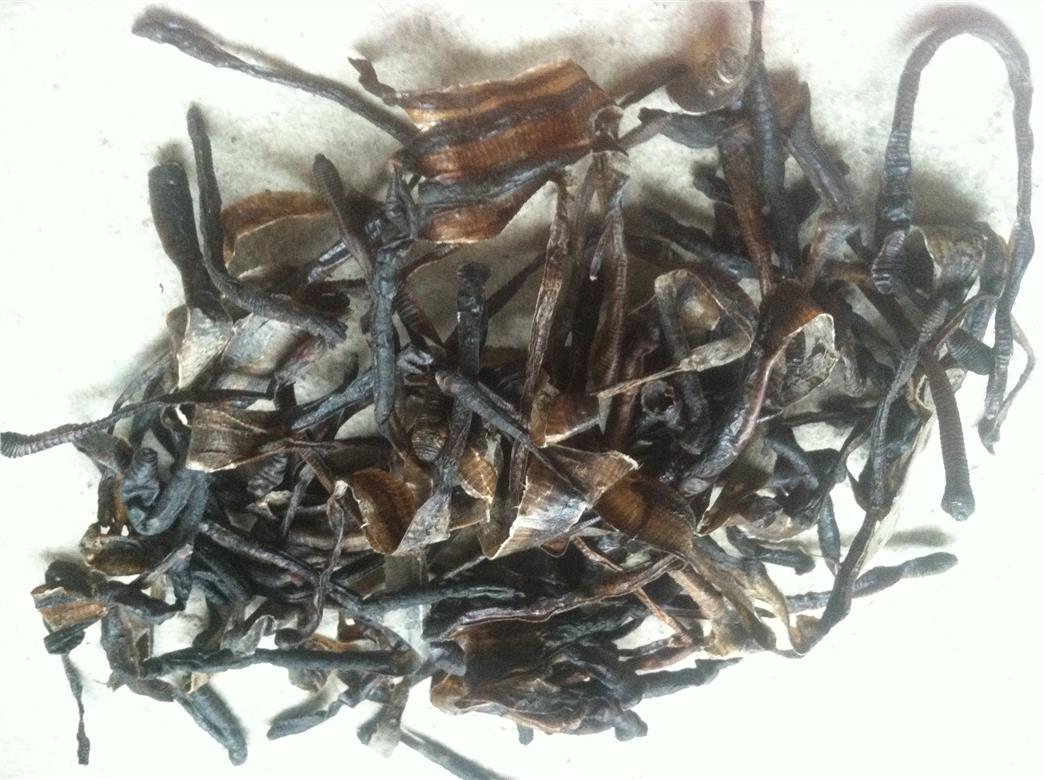 最新地龍器，科技重塑生活，未來觸手可及體驗升級