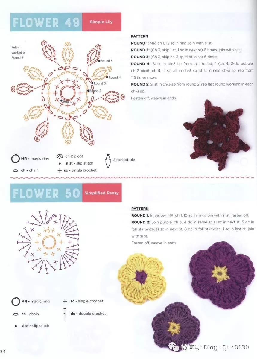 小花最新版，全新特性與魅力展現(xiàn)