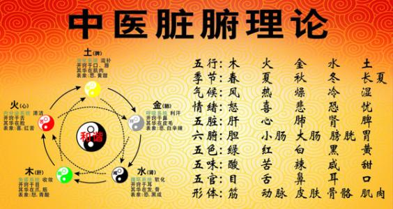 探索現(xiàn)代健康生活秘訣，最新養(yǎng)生知識(shí)匯總