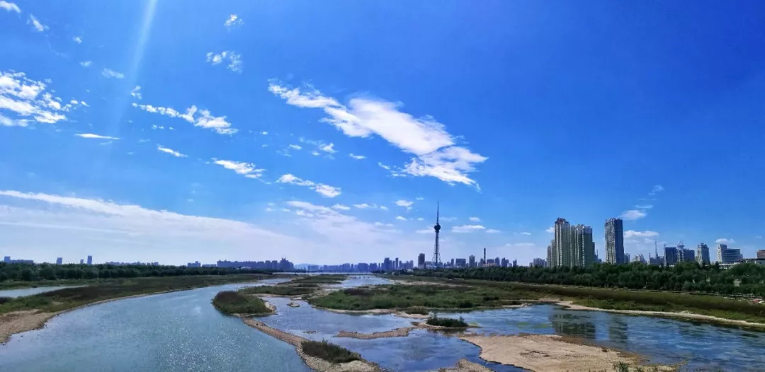 洛陽最新市容探秘，巷弄深處的小店驚喜