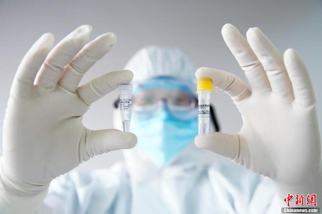 冠肺炎最新檢測，小巷深處的探索之旅