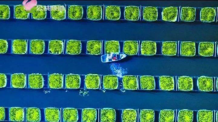 最準(zhǔn)一碼一肖100%鳳凰網(wǎng),新技術(shù)推動(dòng)方略_影像版88.805