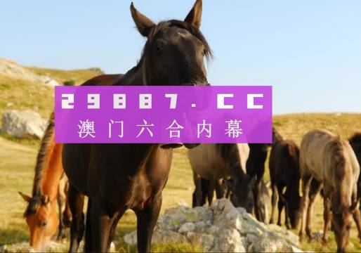 澳門管家婆正版資料免費公開,創(chuàng)新策略執(zhí)行_用心版47.558