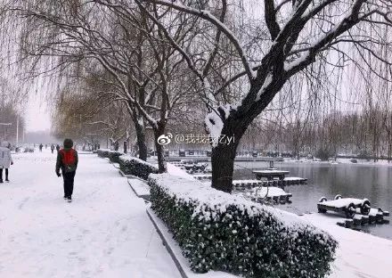 最新雪情更新，心靈寧靜的白雪之旅啟程