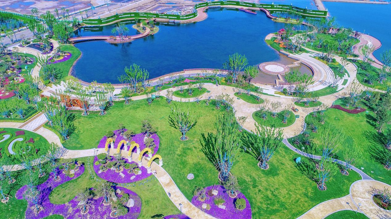 千鳥城最新進(jìn)展，城市發(fā)展與生態(tài)保護(hù)的雙面鏡鑒