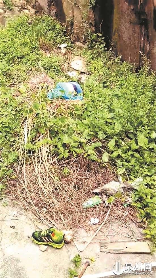 惠安最新動(dòng)態(tài)，小巷深處的獨(dú)特風(fēng)情揭秘