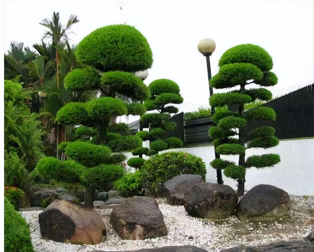 最新村長的后院，時(shí)代變遷下的鄉(xiāng)村印記