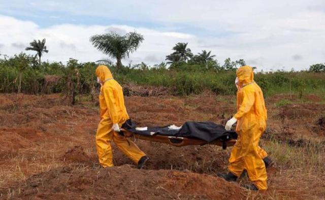 三亞最新瘟疫情況及科普知識概述