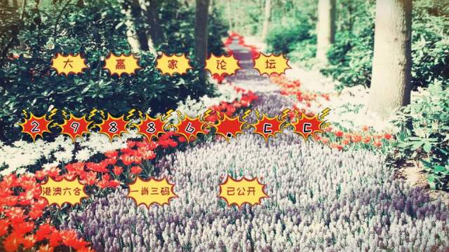 一肖一碼免費,公開,