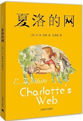 大人網(wǎng)最新版，日常趣事與情感交流的平臺(tái)