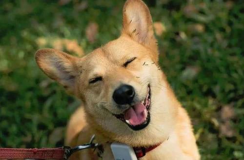 新冠傳染最新研究,新冠傳染最新研究的日常故事