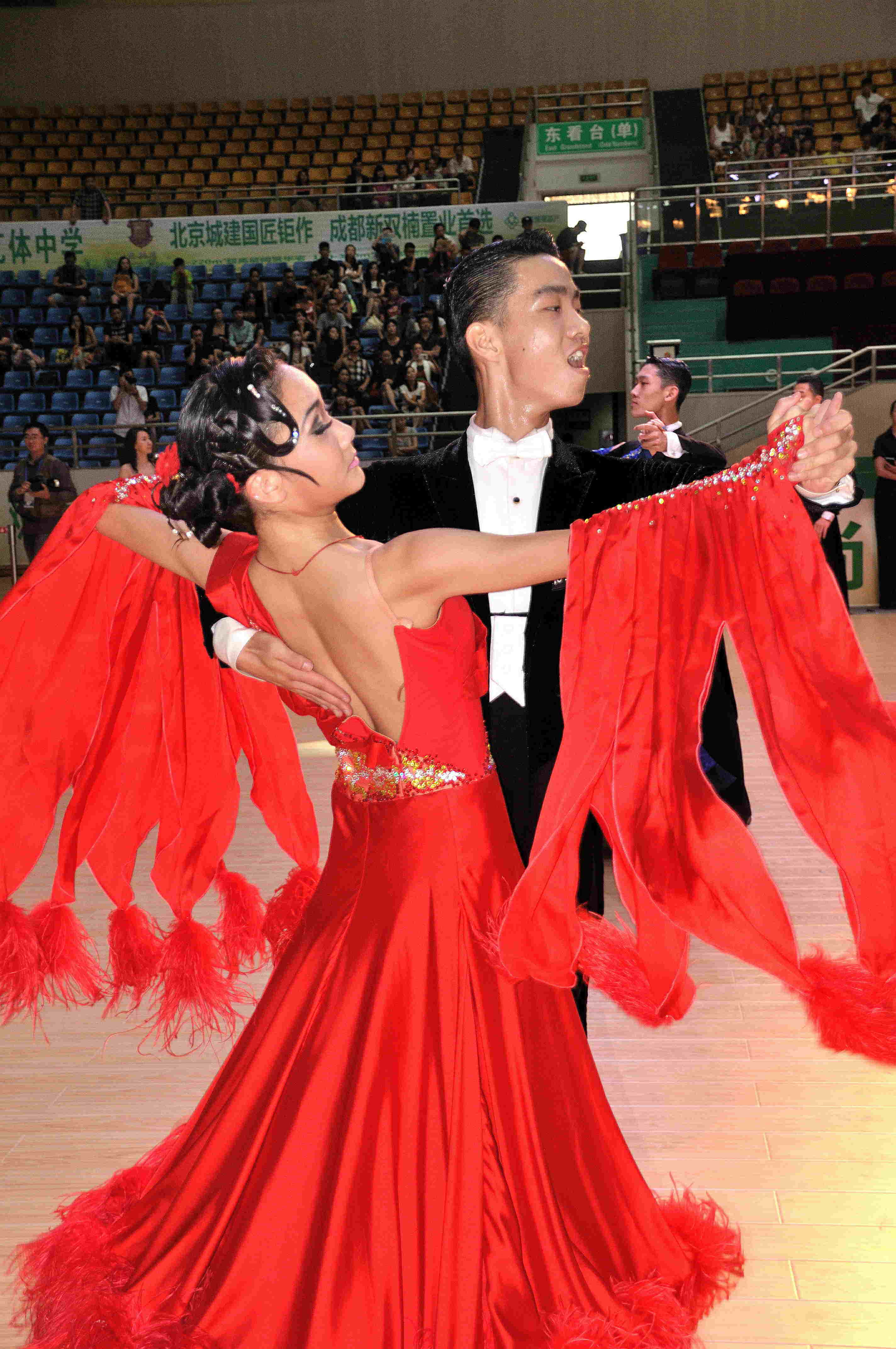 國標(biāo)舞最新比賽,國標(biāo)舞最新比賽，觀點闡述