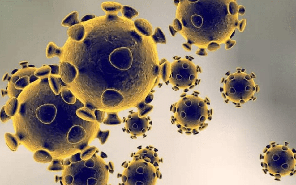 新冠病毒全國最新,新冠病毒全國最新論述