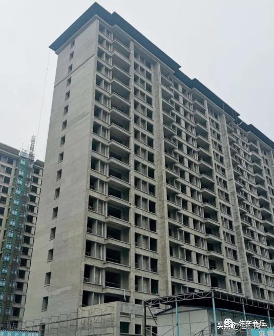 8月最新樓盤市場熱度與個(gè)人選擇考量