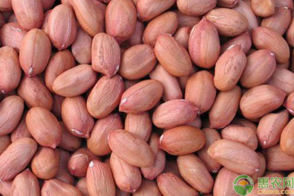 花生米最新價(jià)格行情概覽