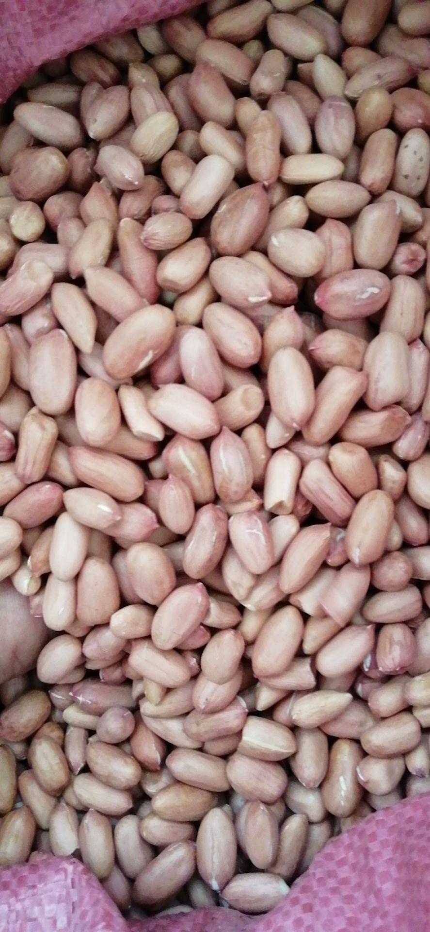 花生米最新價(jià)格行情概覽