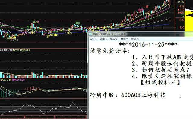 槽股票，小巷深處的特色小店奇妙之旅