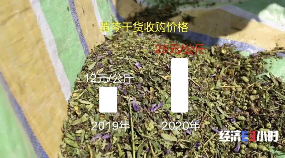 黃芩價格最新行情,黃芩價格最新行情????，投資中藥材的新選擇！