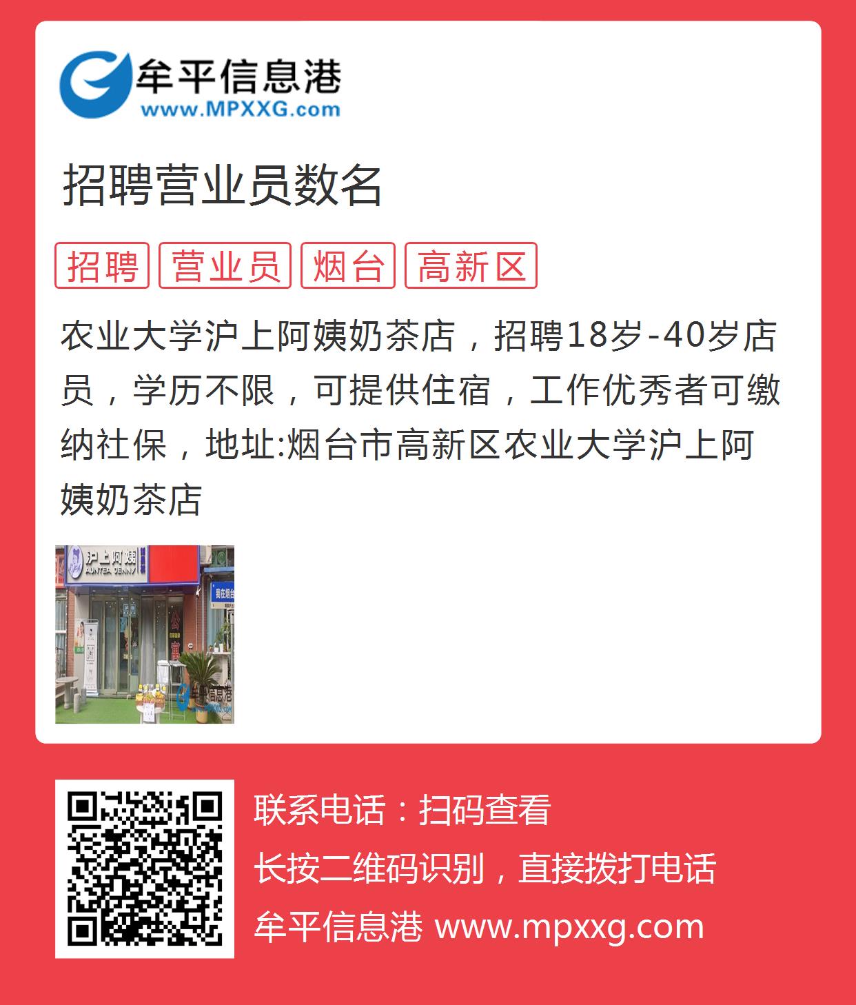 牟平最新招聘信息與求職奇遇，溫馨小故事的探索