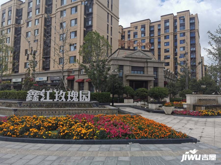 鑫江玫瑰園最新動(dòng)態(tài)揭秘，最新進(jìn)展與資訊匯總