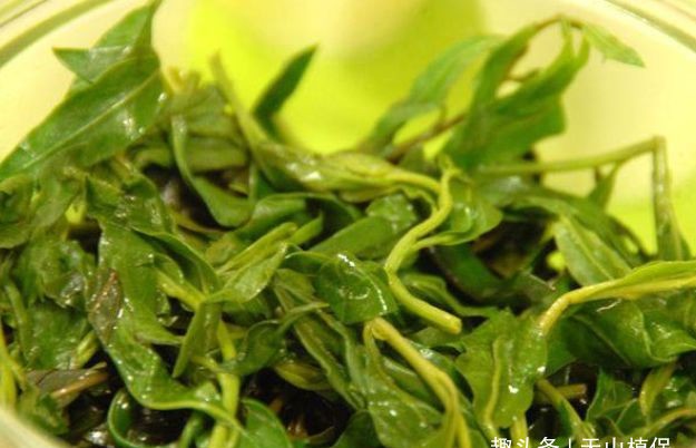 最新芽菜價(jià)格新鮮出爐，不容錯(cuò)過(guò)！