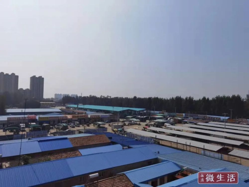 永清最新資訊深度解析，觀點闡述與動態(tài)更新