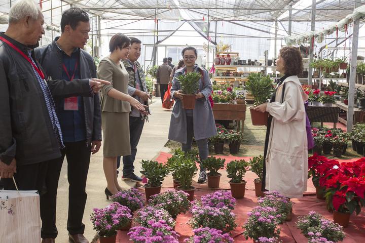 長興泗安，自然美景與最新招聘同行，遠離塵囂的招聘旅行之旅