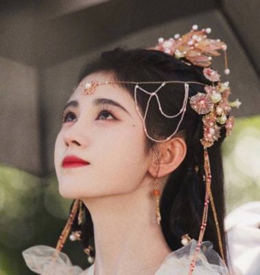 演員夢芳，星光璀璨之旅