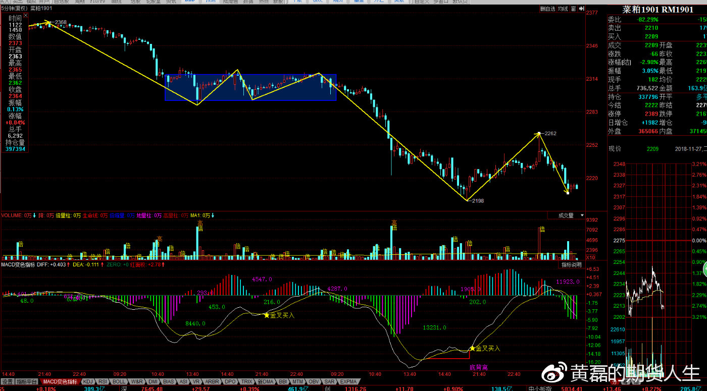 期貨菜粕行情深度解析，最新動(dòng)態(tài)大揭秘