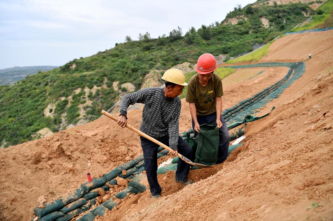 煤炭集團最新動態(tài)，把握時代脈搏，見證行業(yè)變遷