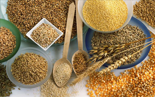 科技引領(lǐng)糧食市場(chǎng)，全新升級(jí)糧食行情APP重塑未來(lái)生活體驗(yàn)！