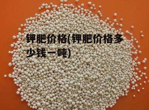 鉀肥價(jià)格行情最新價(jià)格,鉀肥價(jià)格行情最新動(dòng)態(tài)，市場(chǎng)走勢(shì)深度解析