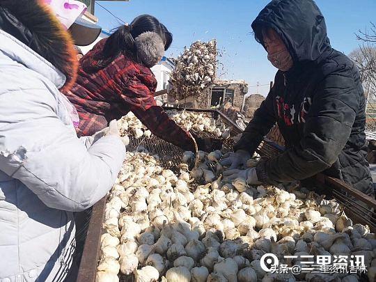 白城美食探秘，小巷深處的獨特風味與隱藏的美食寶藏