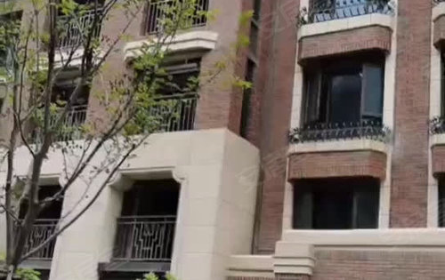 定州水墨林居獨特魅力沉浸式實景展示亮相！