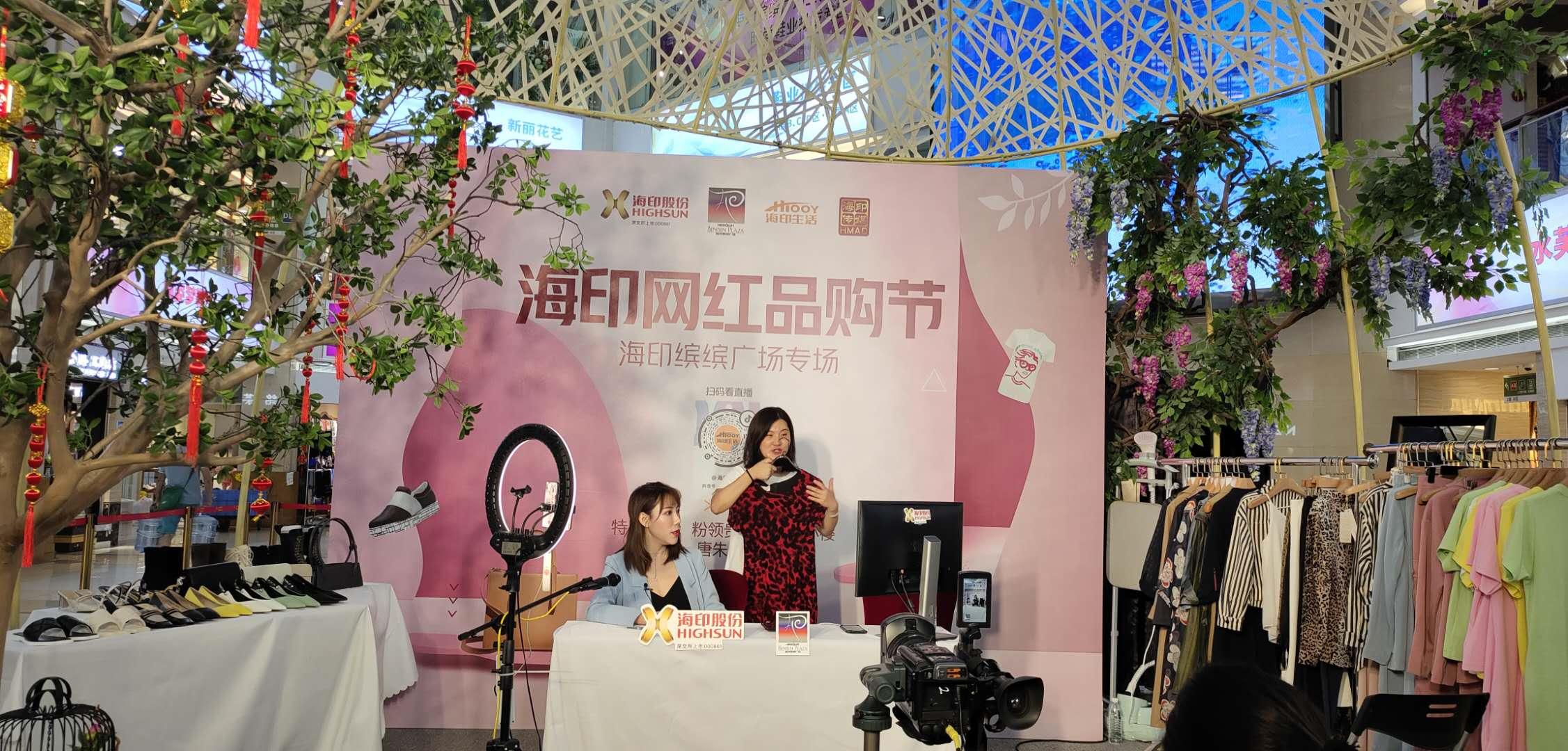 海印股份最新消息新聞綜述，深度解析與論述