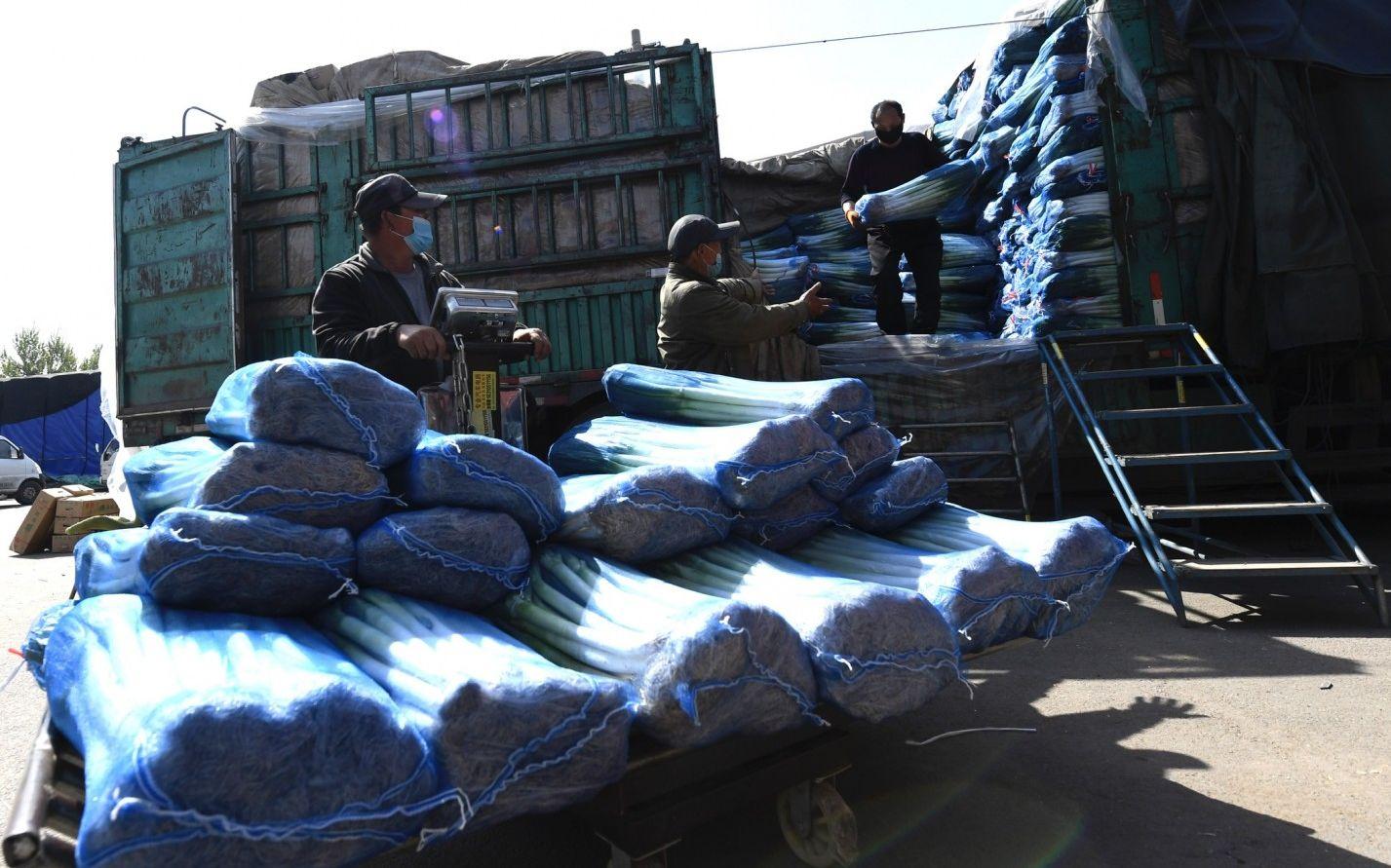 新發(fā)地大白菜價(jià)格信息揭秘，最新大白菜價(jià)格行情