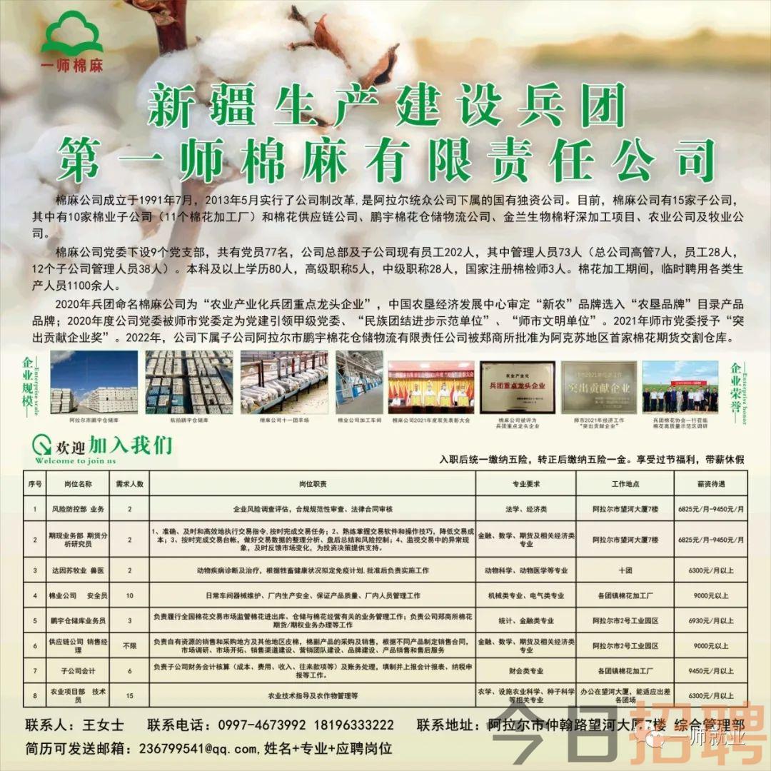 生態(tài)夢網(wǎng)招聘啟事，科技共筑生態(tài)夢，引領未來發(fā)展之路