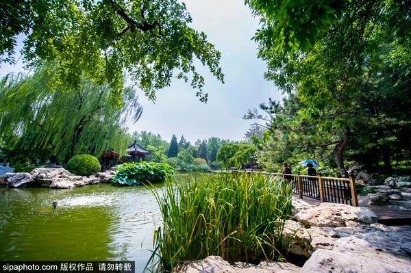 京城資訊速遞,京城資訊速遞，一路學(xué)習(xí)，自信閃耀