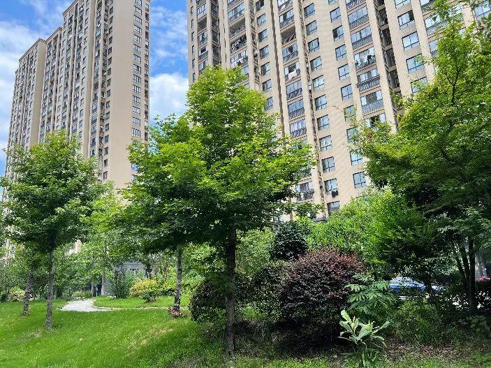 蕭山南部臥城最新動態(tài)揭秘，最新進(jìn)展與動態(tài)更新