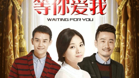 電視劇小丈夫演員表,電視劇小丈夫演員表——友情、愛情與生活的溫馨篇章