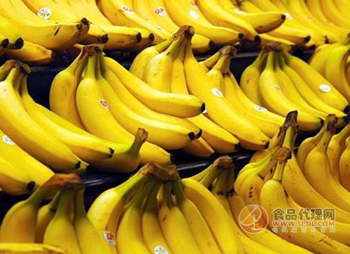 今日香蕉價格信息探索，一場內(nèi)心的寧靜之旅