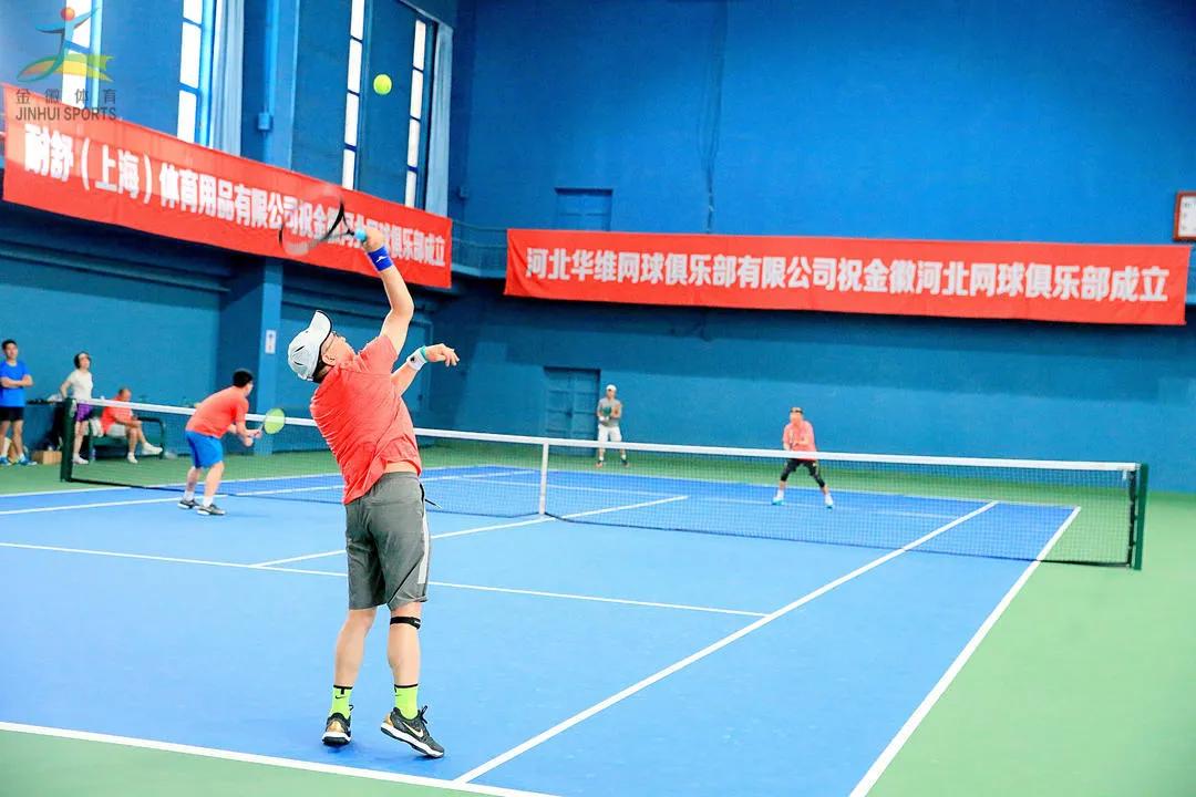 一網(wǎng)情深演員表，演繹友誼與情感的交織篇章